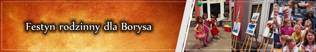 baner - festyn dla Borysa